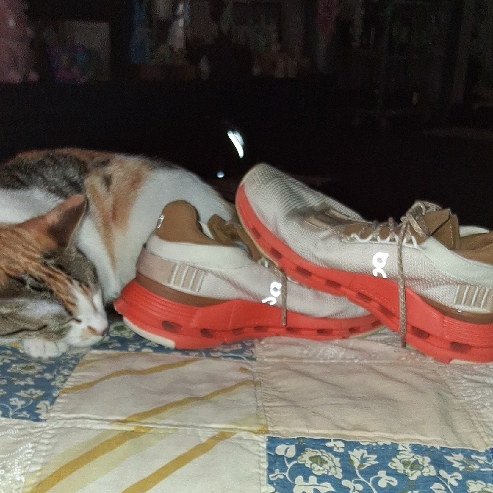 Oncloud Womens Novas - Picture 11 of 11
